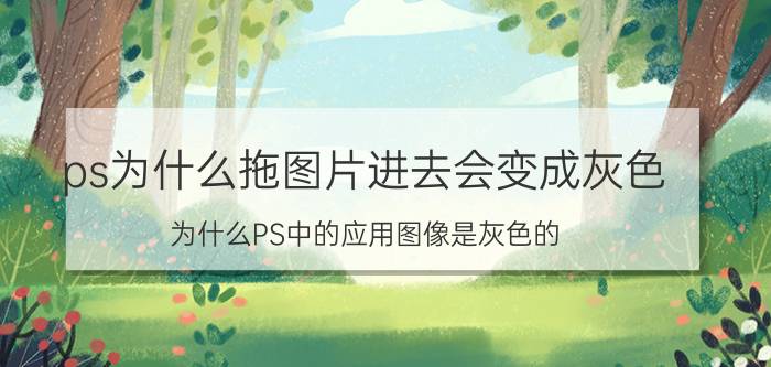 ps为什么拖图片进去会变成灰色 为什么PS中的应用图像是灰色的，选不了？